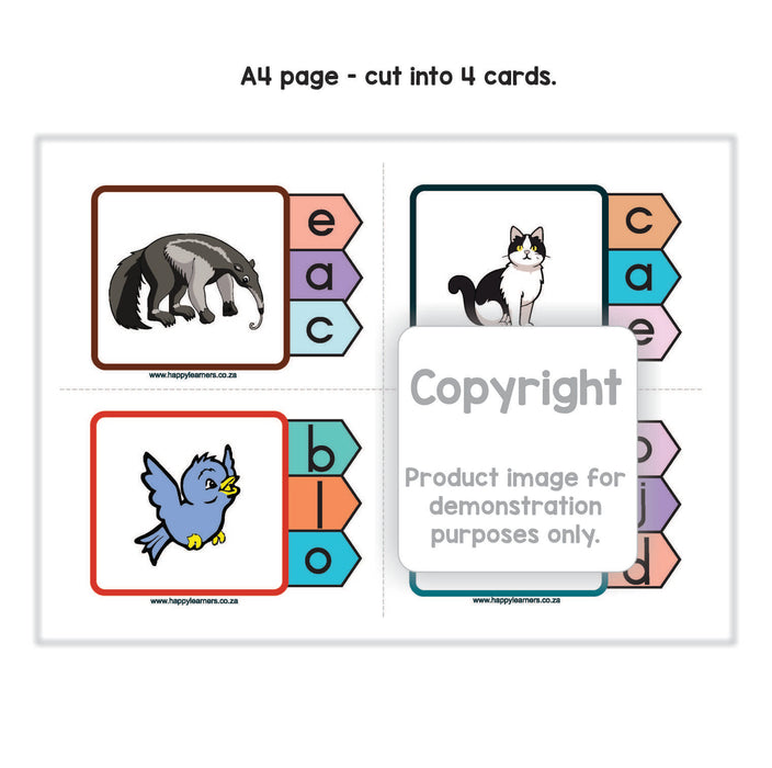 Peg Cards - matching beginning sounds and pictures